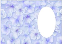 Hydrangea Flowers Lilac Insert