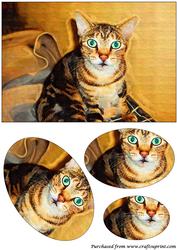 Cute Cat Oval Pyramid