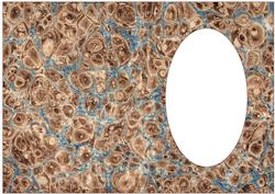 Vintage Marbled Paper Insert 1