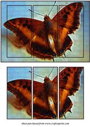Butterfly Painting Panel Card