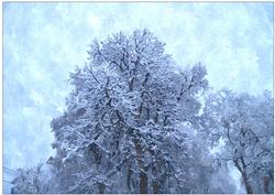 Christmas Scene Watercolour Background 1
