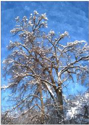Christmas Scene Watercolour Background 4