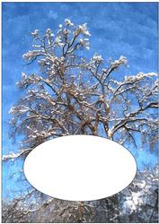 Christmas Scene Watercolour Insert 4