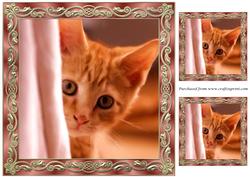 Curious Kitten Painting Topper