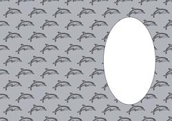 Dolphin Insert 1