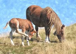 Mare and Foal Watercolour Background