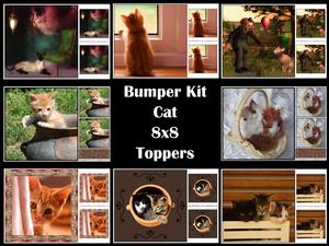 Bumper Kit Cat 8x8 Toppers