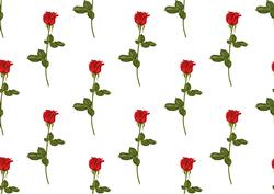 Red Roses Backing Paper