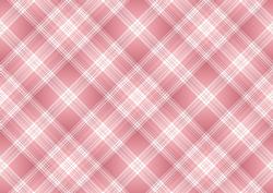 Christmas Plaid Backing Paper 1