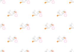 Baby Girl Stork Backing Paper