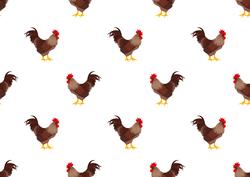 Rooster Backing Paper