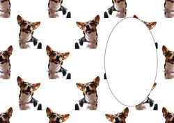 Dog Insert 6