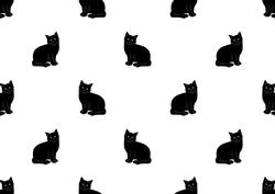 Halloween Black Cat Backing Paper
