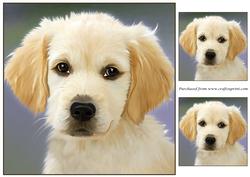 Golden Retriever Puppy Topper