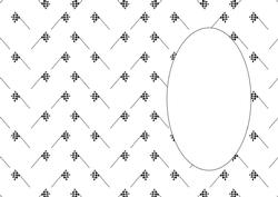 Racing Flags Insert