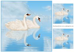 Swans on Lake Topper