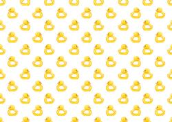 Baby Duck Toys Backing Paper