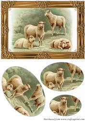 Farm Sheep Oval Pyramid