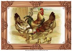 Farm Chickens A4