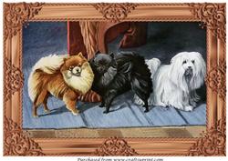 Cute Dogs A4