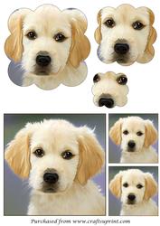 Golden Retriever Puppy Scalloped Pyramid