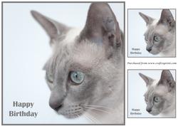 Cat Topper 2