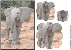 Cute Baby Elephant Scalloped Pyramid