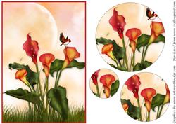 Calla Lilies Circle Pyramage