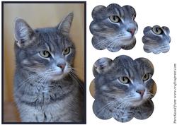 Grey Cat Scalloped Pyramid