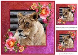 Lioness Framed Topper