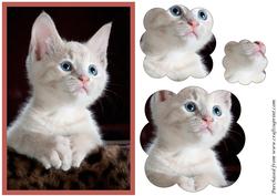 Cute Kitty Scalloped Pyramid