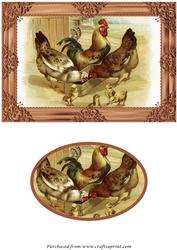Farm Chickens Quick Card Front