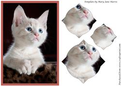 Cute Kitty Splendid Pyramid