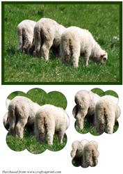 Three Little Lambs Scalloped Pyramid