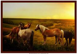 Horses at Sunset A4