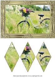 Bicycle with Flowers Diamond Panel Card