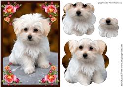Cute Puppy Scalloped Pyramid