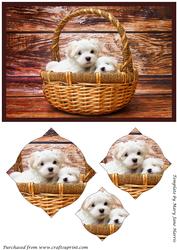 Cute Puppies in Basket Splendid Pyramid