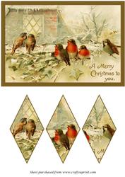 Christmas Birds Diamond Panel Card