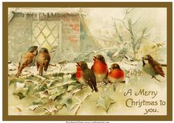 Christmas Birds A4