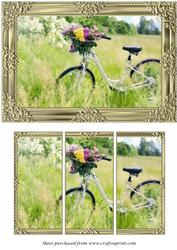 Bicycle with Flowers Panel Card