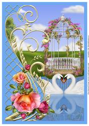 Swans and Roses A4