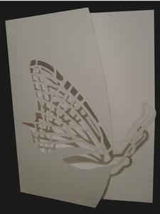 Over the Edge Butterfly Craft Pattern