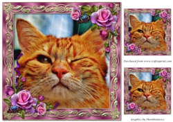 Cute Funny Cat Topper