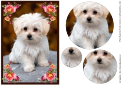 Cute Puppy Circle Pyramid
