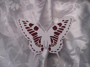 Butterfly 1