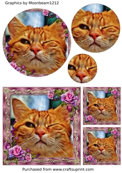Cute Funny Cat Circle Pyramid