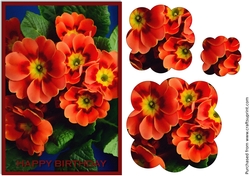 Primroses Scalloped Pyramid