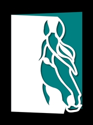 OVER THE EDGE HORSE CARD