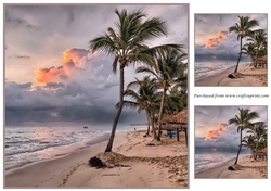 Tropical Beach Topper
